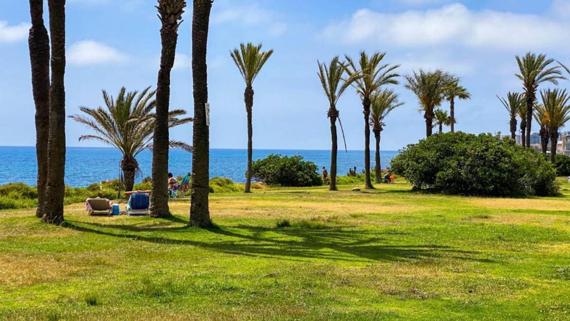 Apartamento Villa Amalia Torrevieja Exterior foto